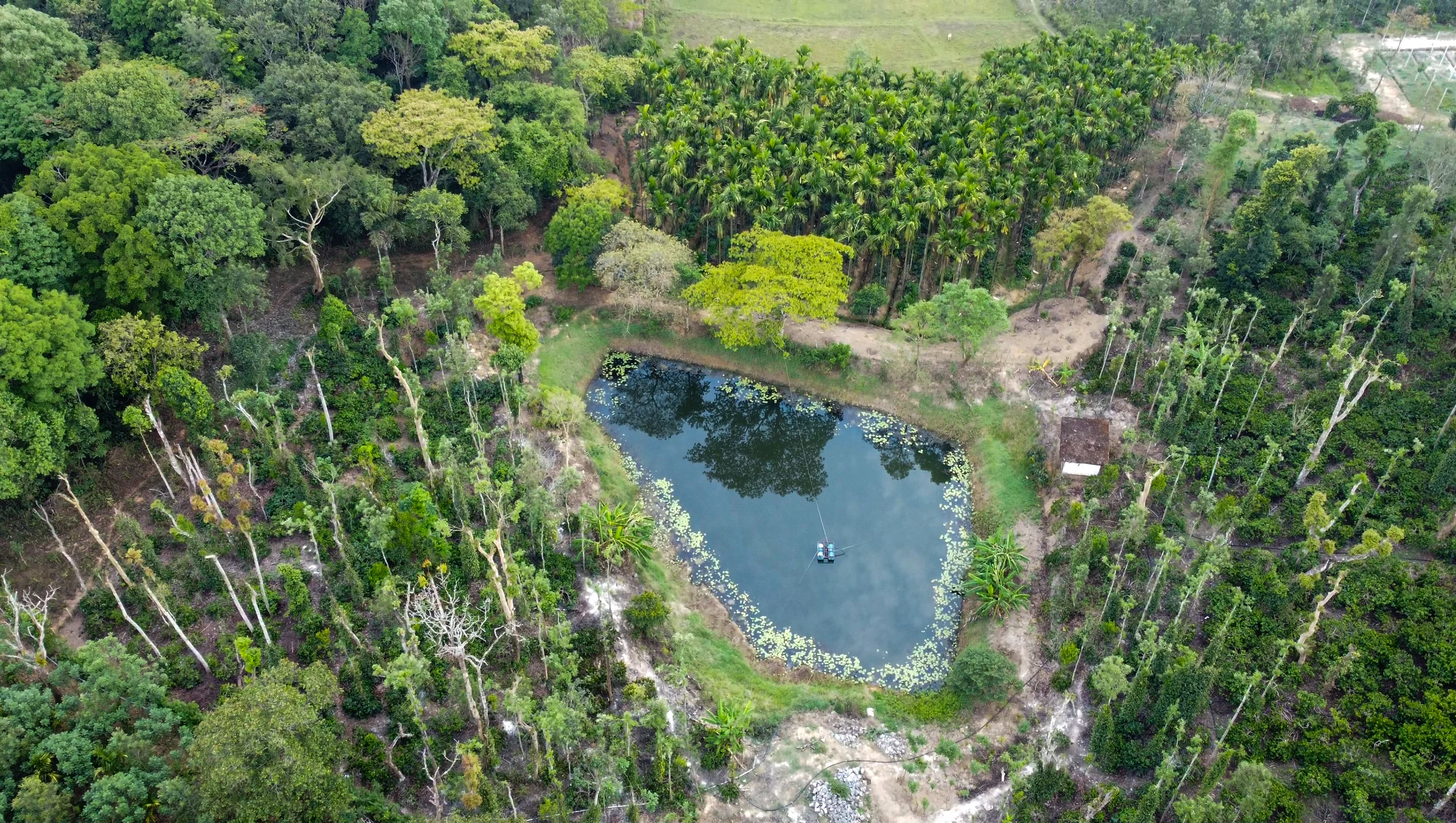 A Private Lake Inside Your Estate