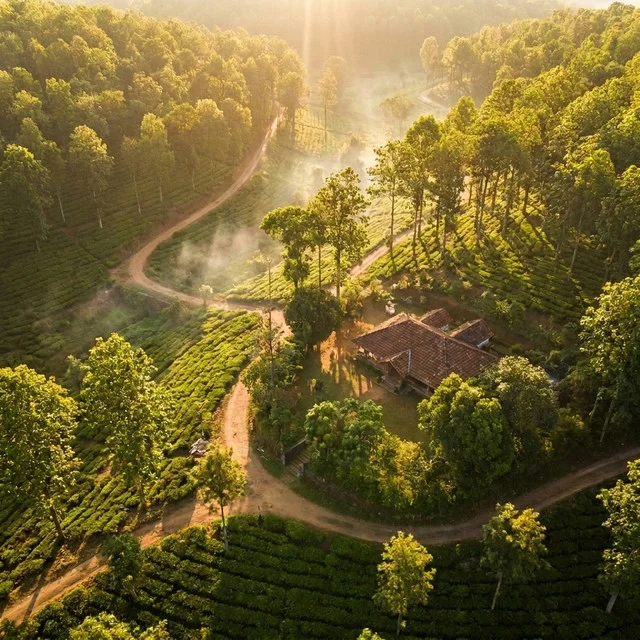 Rare Managed Timber Estate