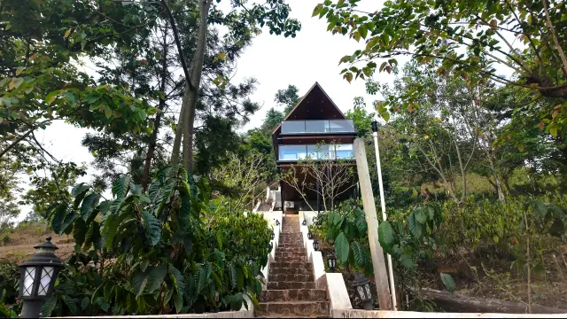 Gallery 5