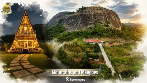 Mountains & Mangoes