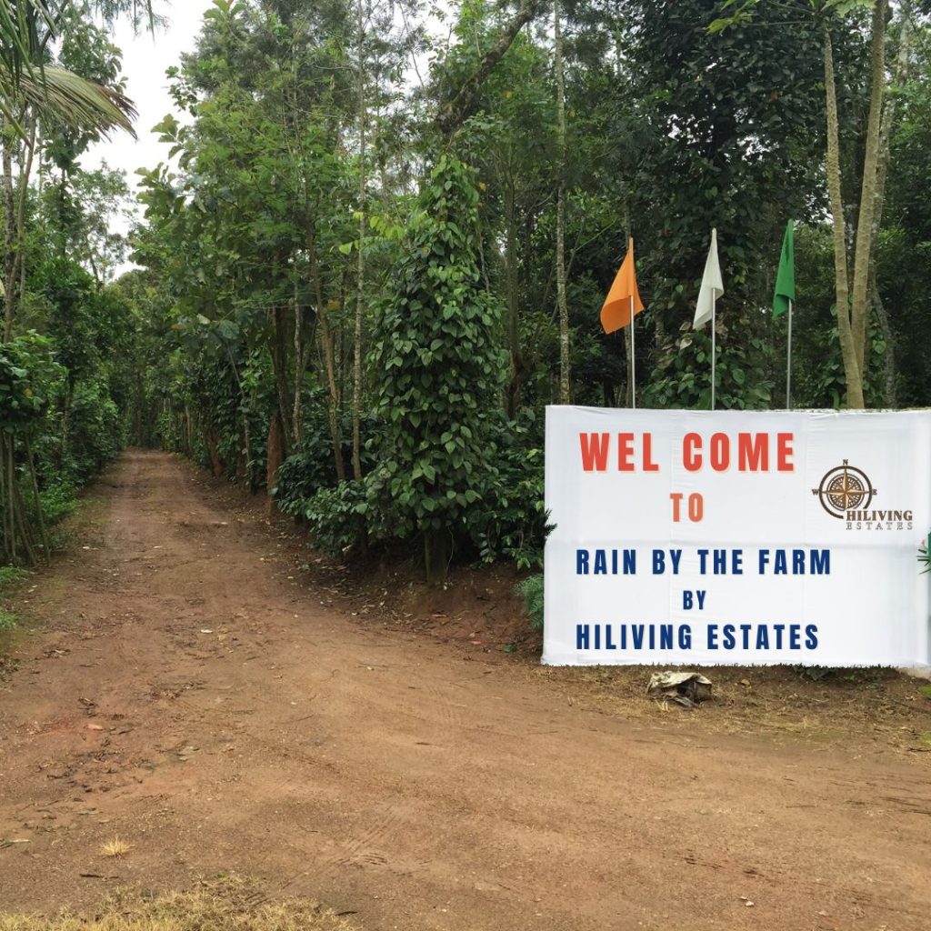 Rain by the farm