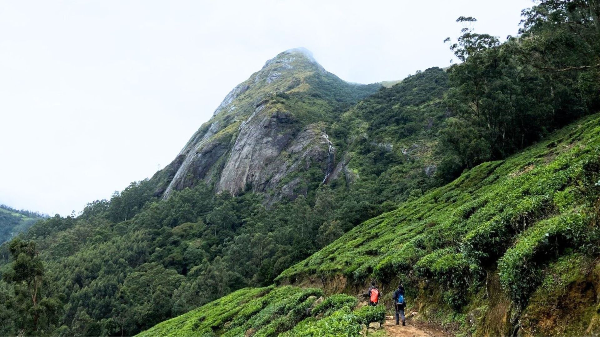 winds of malnadu By Hiliving estates